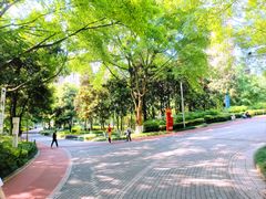 -龙头寺公园