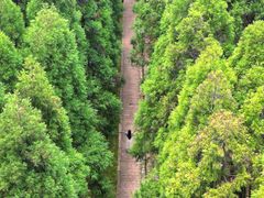 -玉苍山国家森林公园