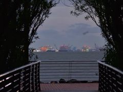 -上海吴淞炮台湾国家湿地公园