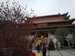-宝莲禅寺