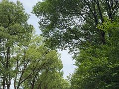 -敬亭山风景名胜区