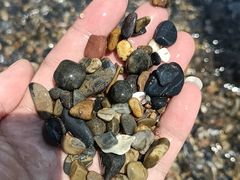 -大连金石滩滨海国家地质公园