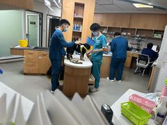 -联合动物医院(光谷诊疗中心)