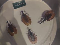 -陕西自然博物馆