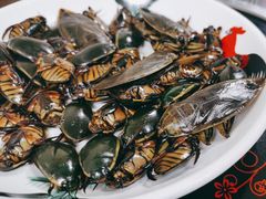 -莫华(锦绣趣园北街店)