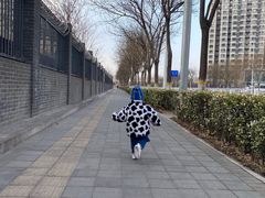 -杨记老门框百年卤煮(回龙观文华西路店)