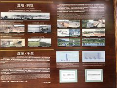 -华侨城湿地公园