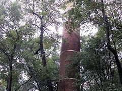 -马王堆汉墓遗址