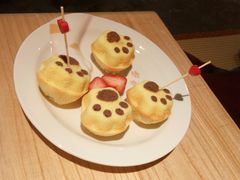 -喵屿·大理花园猫咖