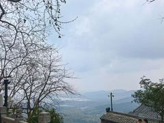 -灵顺寺