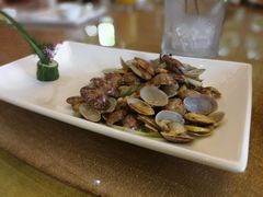 -半岛公馆(淞兴西路店)