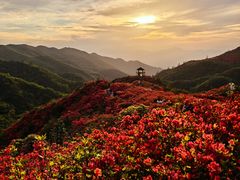 -大围山国家森林公园