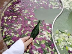 -天目湖涵田半山温泉水乐园