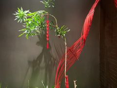 -青螺餐厅·家宴(松雅湖店)