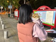 -喵zoo家庭繁育猫舍(尖东智能花园店)