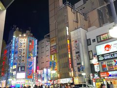 -秋叶原电器街
