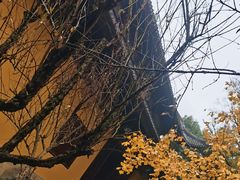 -西园戒幢律寺