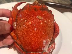 -安蒂娅·海鲜自助餐厅(安蒂娅美兰酒店)