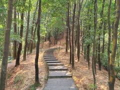 -火炉山森林公园