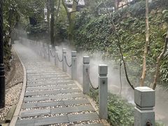 -十八棵（老龙井）御茶园(老龙井店)