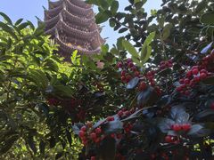 -灵岩山风景区