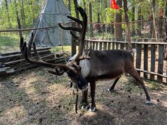 -北极村旅游风景区