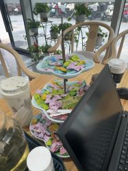 -玛尼瑜伽·普拉提