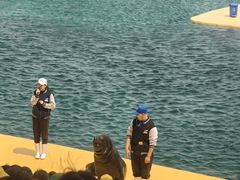 -秦皇岛乐岛海洋王国