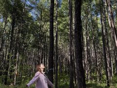 -莫尔道嘎国家森林公园