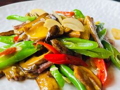 -滇野云南野生菌餐厅(陕西南路店)