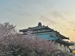 -武汉大学-樱园