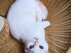 -拜鲁耶动物诊疗中心·宠家动物医院