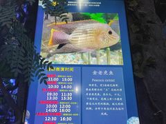 -合肥海洋世界