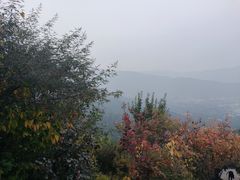 -香山公园