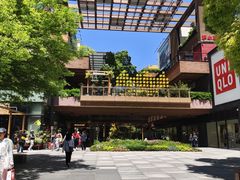 -瑞虹新天地月亮湾