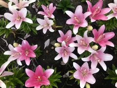 -长春公园(普阳街道)