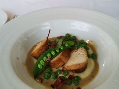 -蝶舍·MAISON PAPILLON