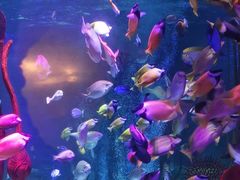 -沈阳海洋探索中心