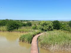 -盐城丹顶鹤湿地生态旅游区
