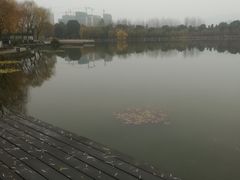 -浙江农林大学(东湖校区)