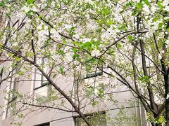 -安徽大学(磬苑校区)