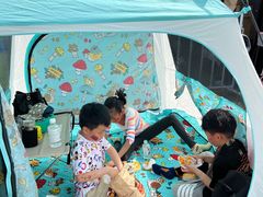 -上林马术中央公园·户外露营·团建·骑乘