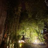 帝都宝藏餐厅，灯影摇曳酒杯边
