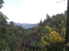 -梭布垭石林景区