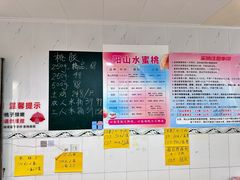 -老袁家蜜桃农场·阳山水蜜桃