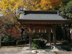 -水前寺成趣园