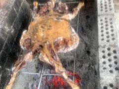 -美丽南方·老木棉匠园·团建烧烤·烤全羊