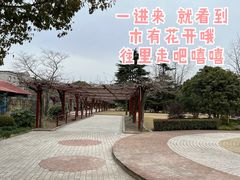 -嘉定紫藤园