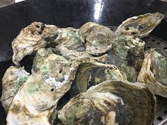 -蚝专家(北滘店)