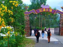 -美心红酒小镇游乐园